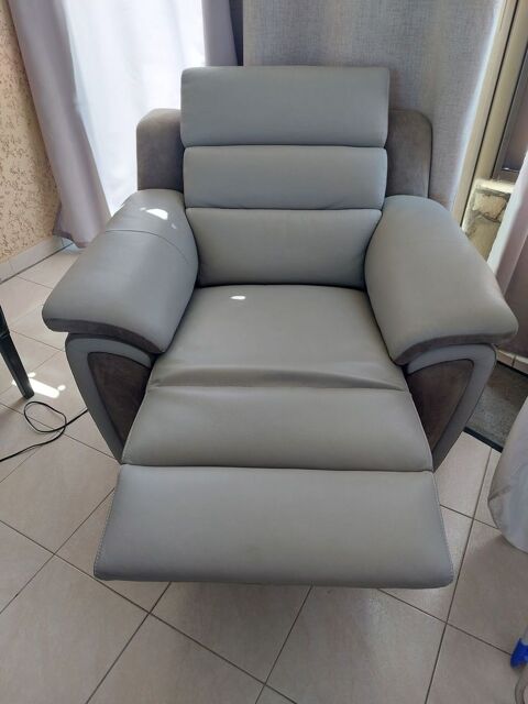 Fauteuil relax électrique 600 Vendres (34)