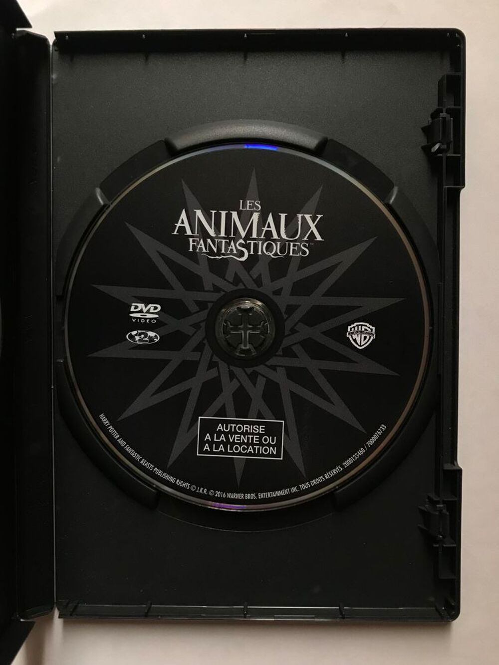 DVD Les Animaux Fantastiques DVD et blu-ray