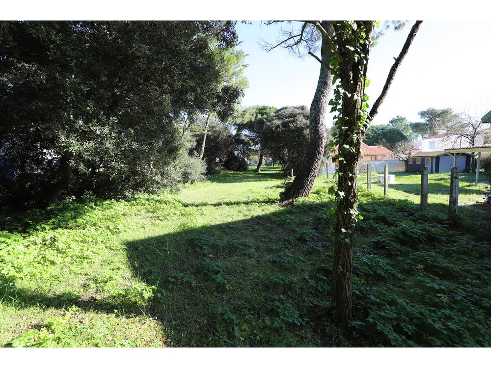 Vente Terrain Terrain Saint-georges-d'oléron