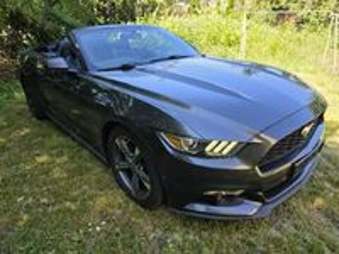 Mustang 2017 occasion 25420 Bart