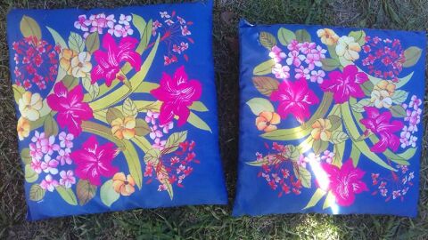 2 coussins 30�30 10 Craponne (69)