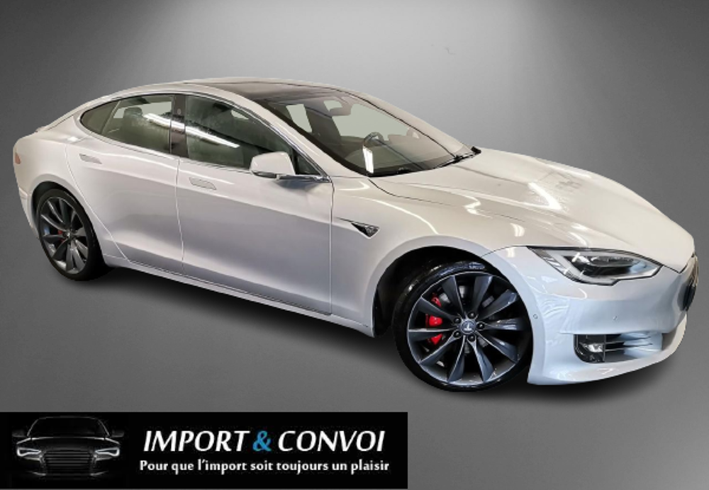 Model S MODEL S P100DL - 100 kWh Ludicrous Dual Motor Performance 2017 occasion 67100 Strasbourg