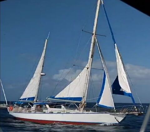 Voiliers Monocoque 1984 occasion Montpellier 34000