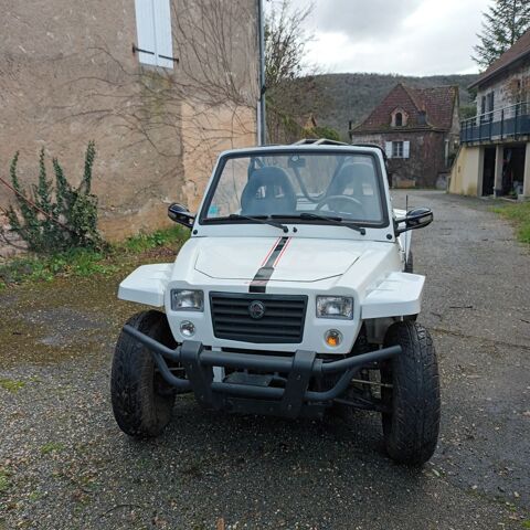 GLAMIS Quad 2016 occasion Ambeyrac 12260