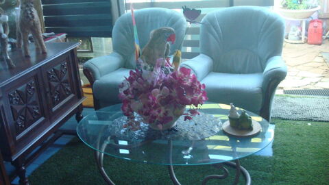 TES BEAU FAUTEUIL 70 Mably (42)