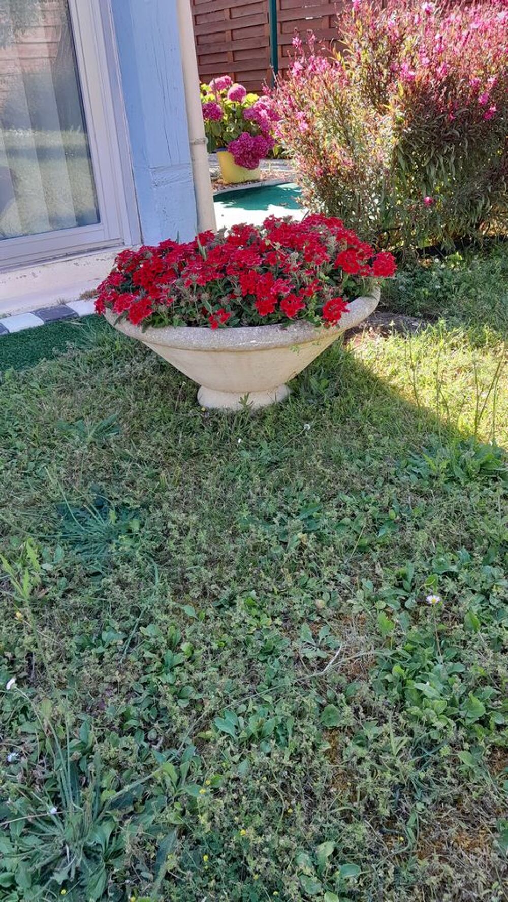 Coupe fleurie Jardin