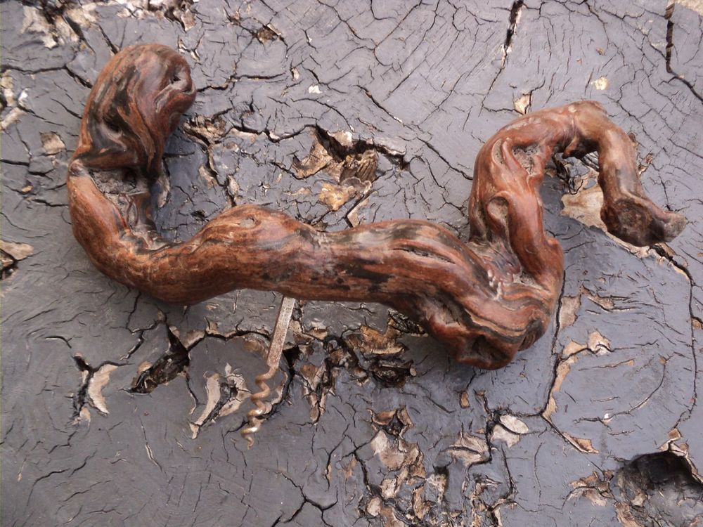 Tire-Bouchon Cep de Vigne Vigne Vin Oenologie Collection. 
