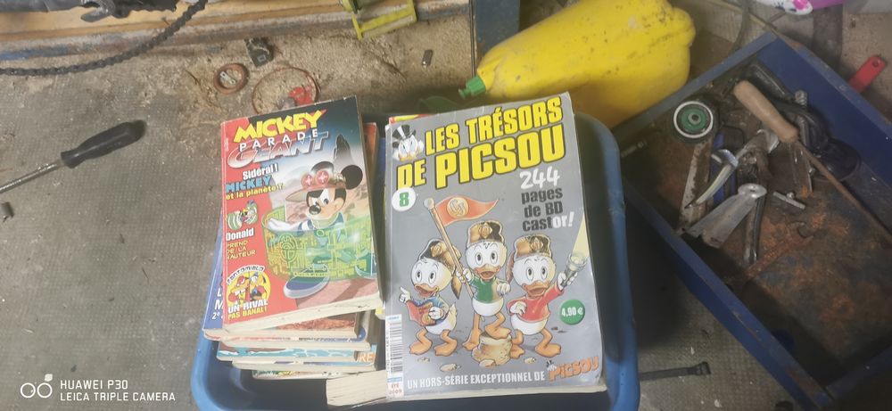Livre mickey parade 