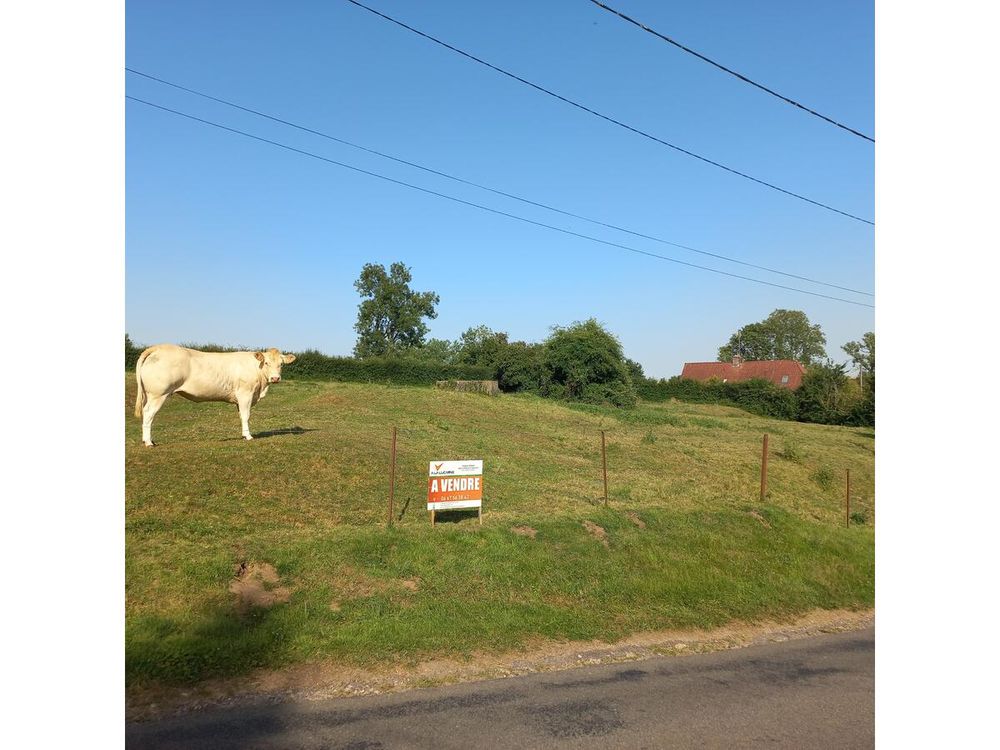 Vente Terrain Terrain Fressin