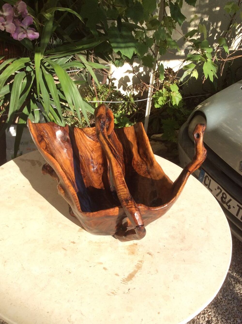 Coupe Olivier Décoration