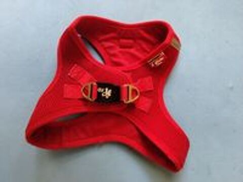   Harnais rouge Curli  