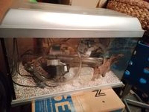   Aquarium 50 litres 