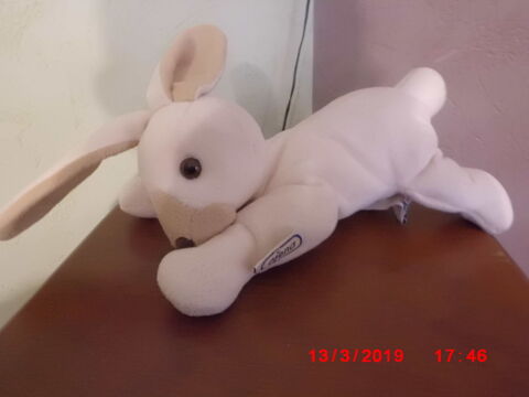 LAPIN BEIGE AJENA 16 Oignies (62)