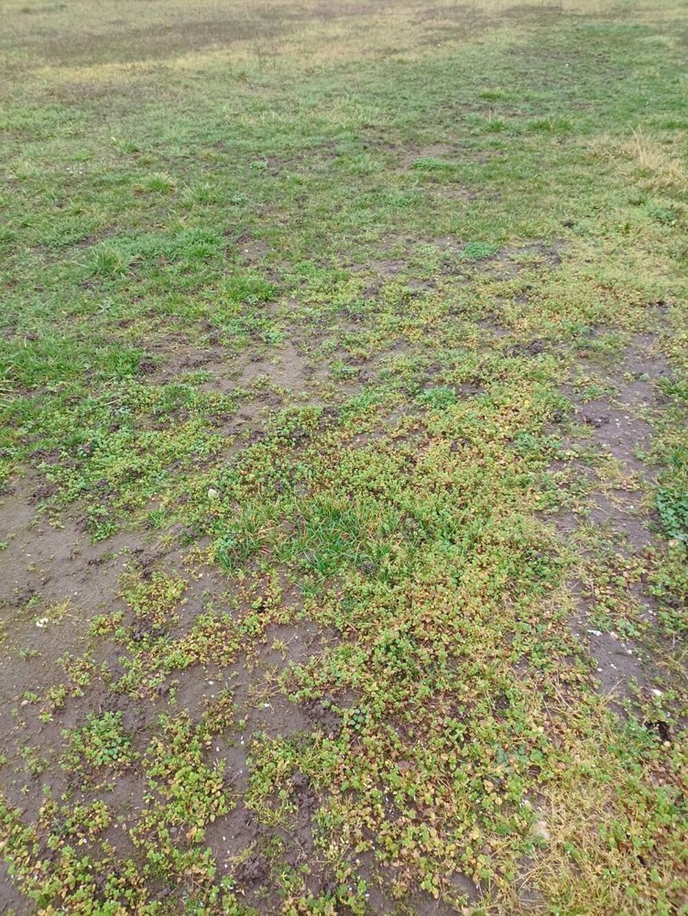 Vente Terrain Terrains à bâtir Auxonne 21 Auxonne