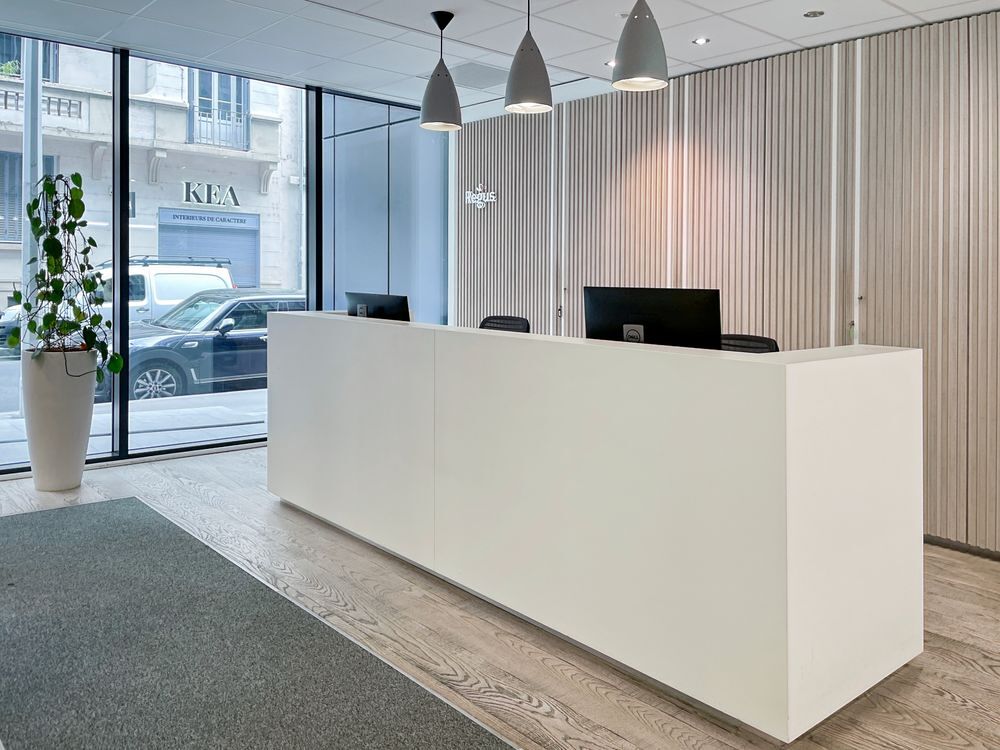   Louez un grand espace de bureau pour 50 personnes à Lyon, Brotteaux Lyon 6