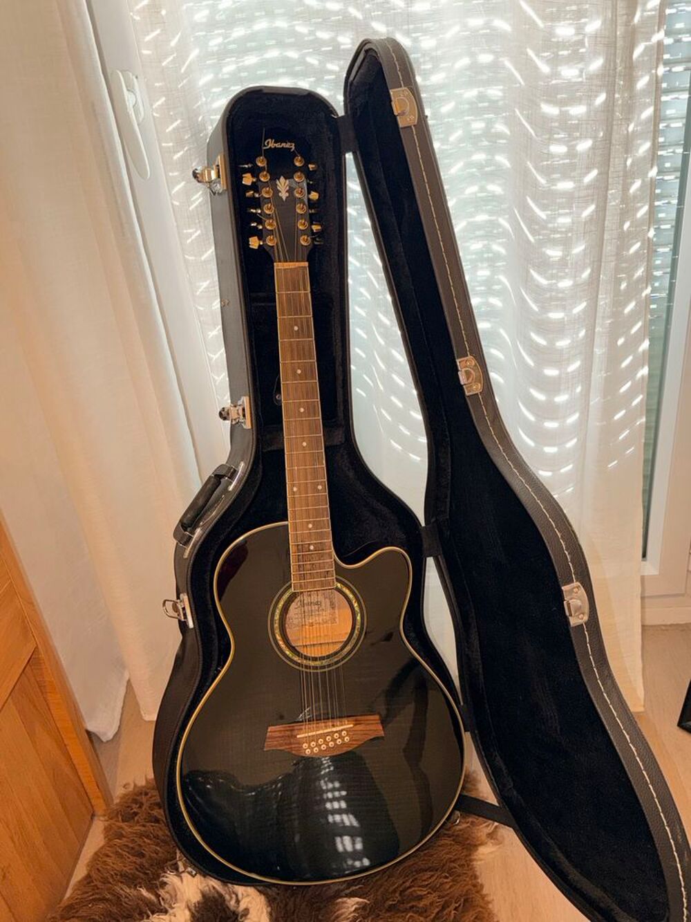 Guitare acoustique ibanez 12 cordes Instruments de musique