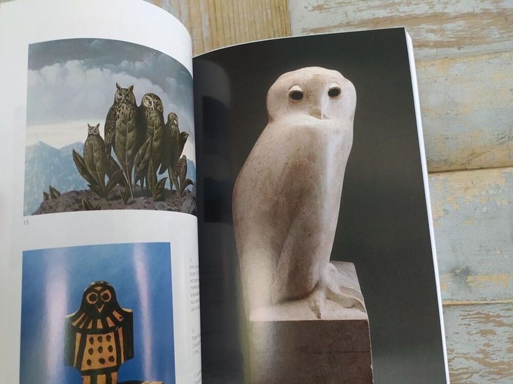Livre Delachaux Niestl&eacute; Anthologie des Chouettes et Hiboux Livres et BD