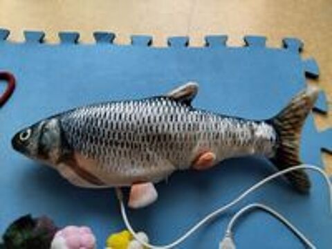   Divers jouets pour cha?t ou petit chien ? 