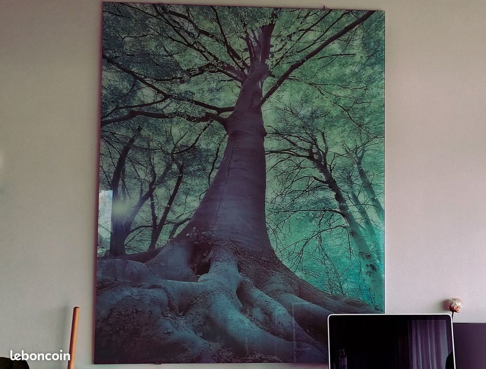 For&ecirc;t Impression sur verre Décoration