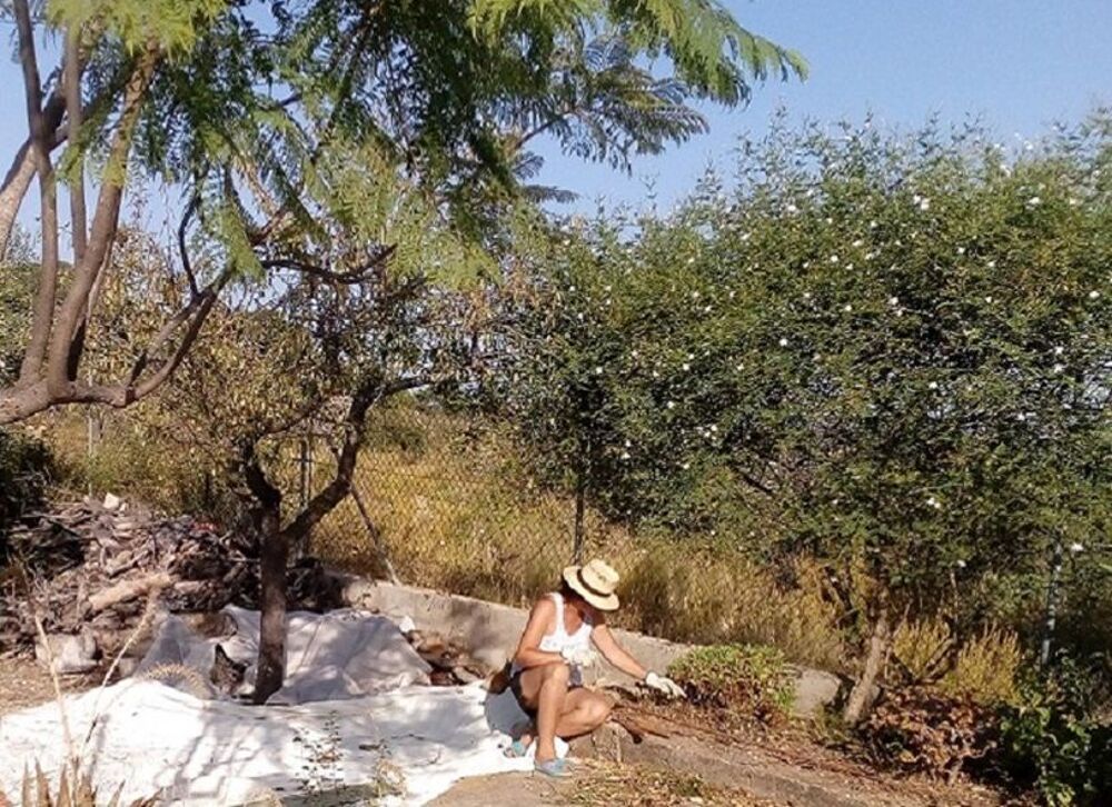 Vente Villa Opportunité unique Propriété avec 2 constructions Espagne Godelleta, españa (Espagne)