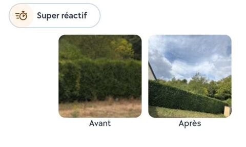 jardinier 0 80000 Amiens