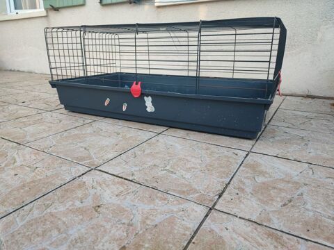 Grande cage 25 17000 La rochelle