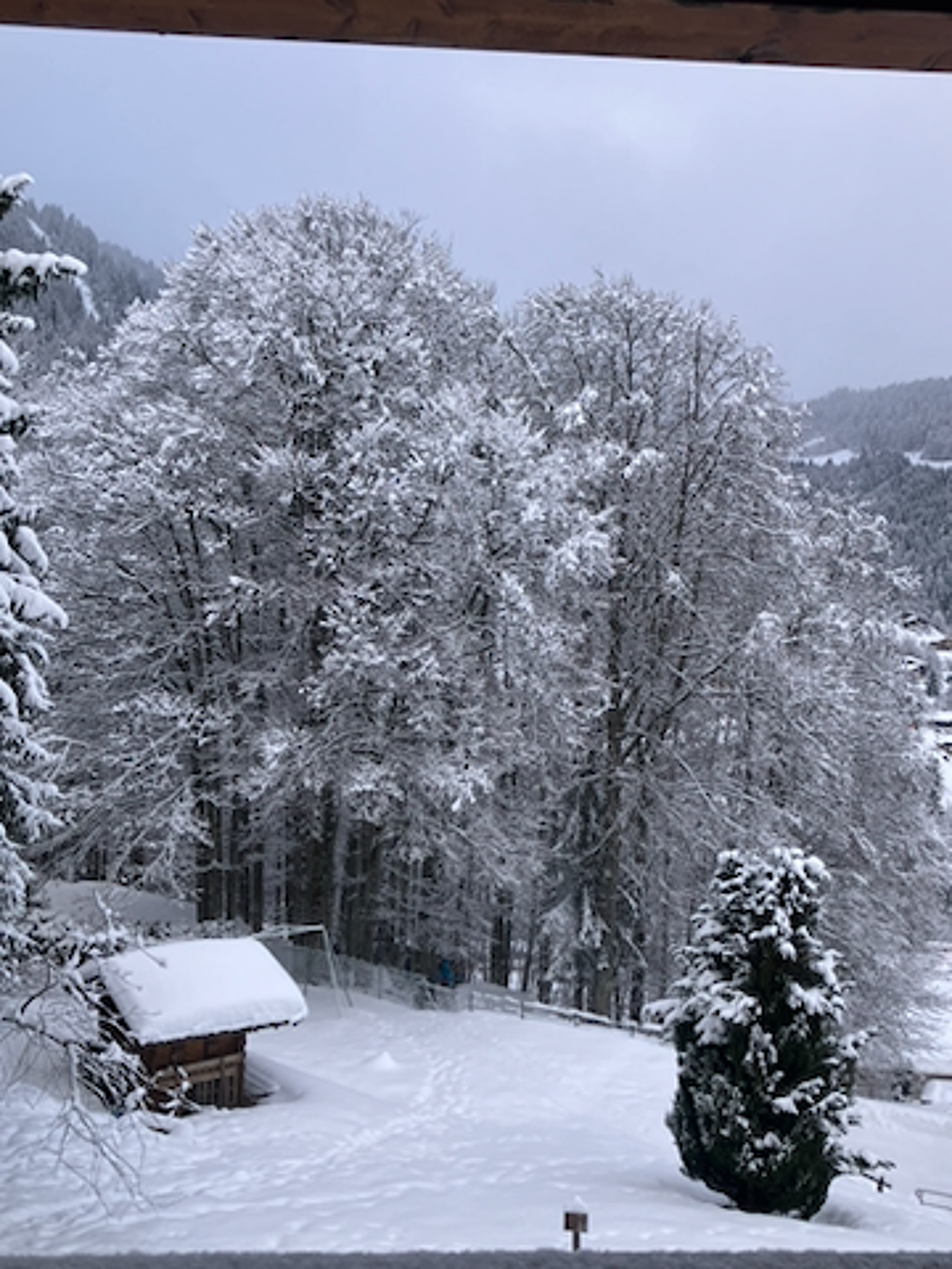   Appartement 3 chambres dans chalet près des pistes Rhône-Alpes, La Clusaz (74220)