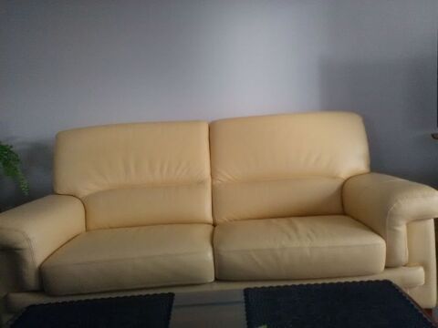 Canap� cuir 
Guilers (29)