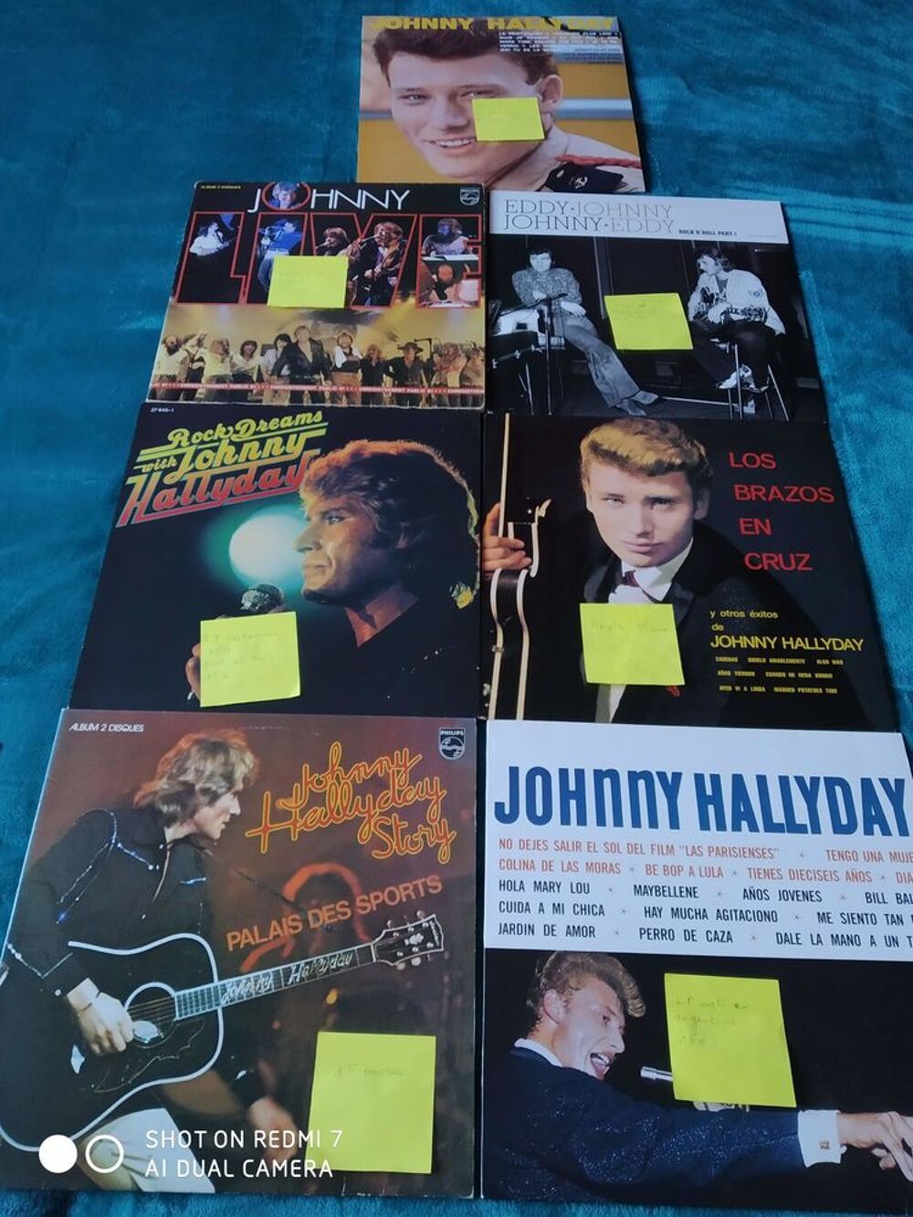diff&eacute;rents vinyles de johnny hallyday CD et vinyles
