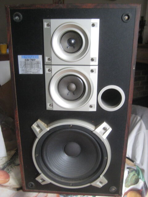 1 enceinte PIONEER CS 787 25 Pronnas (01)