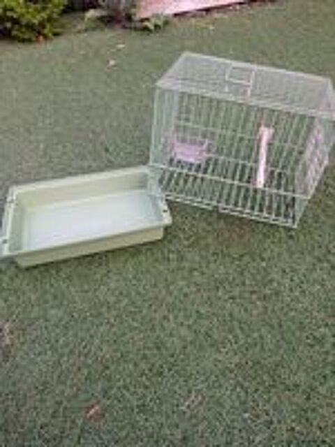   cage de transport 