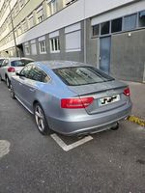 A5 Sportback 2.0 TDI 170 DPF Ambiente 2011 occasion 37340 Cl&eacute;r&eacute;-les-Pins