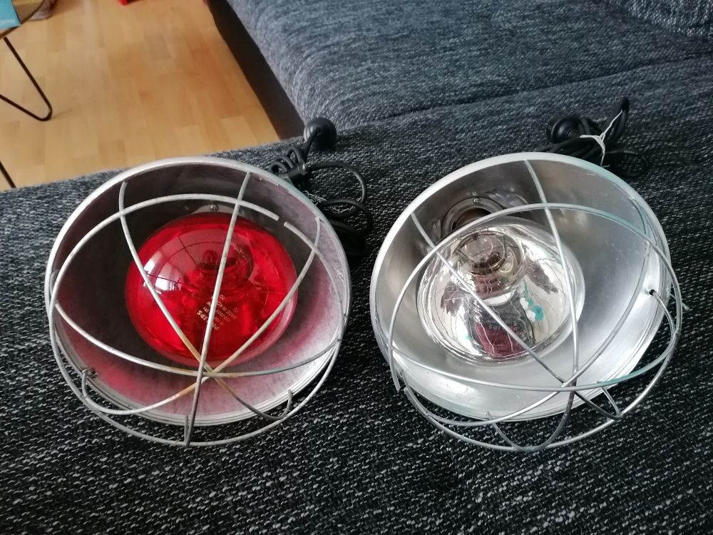 Lampes vivarium Jardin