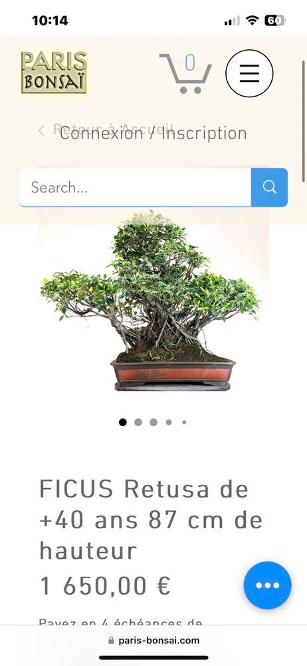 Bonsa&iuml; + 40 ans Jardin