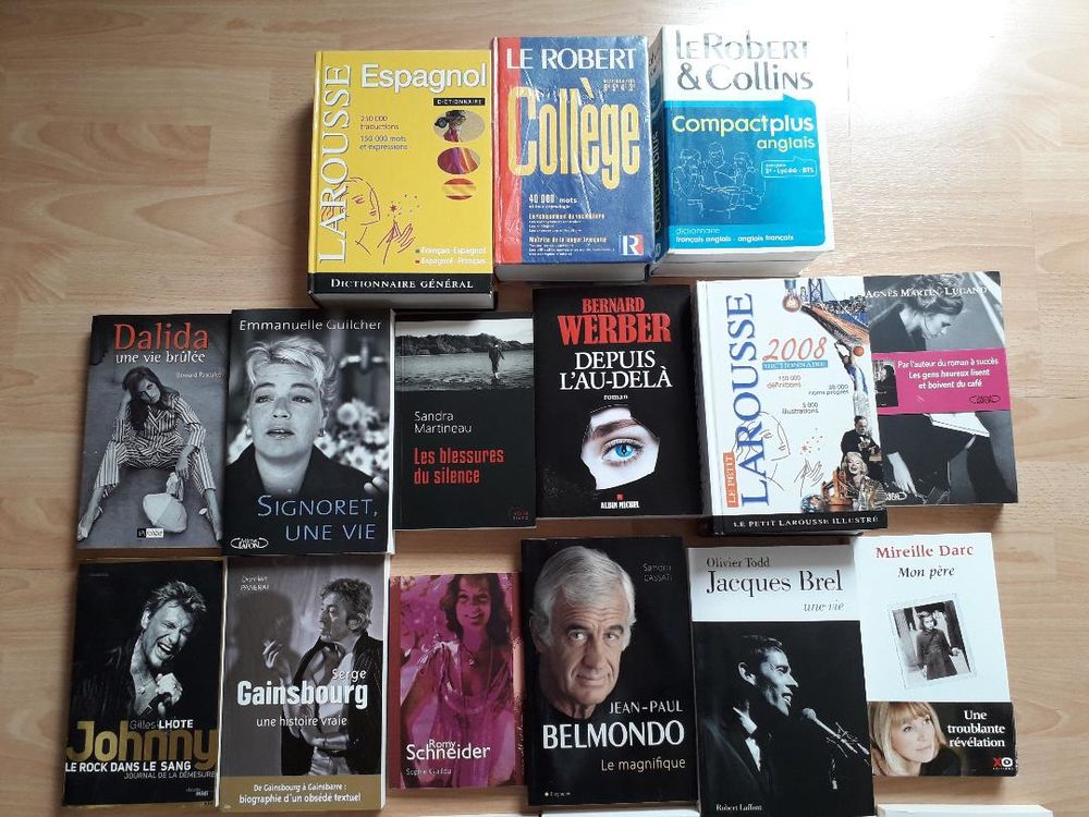 Livres dictionnaires et biographies Livres et BD