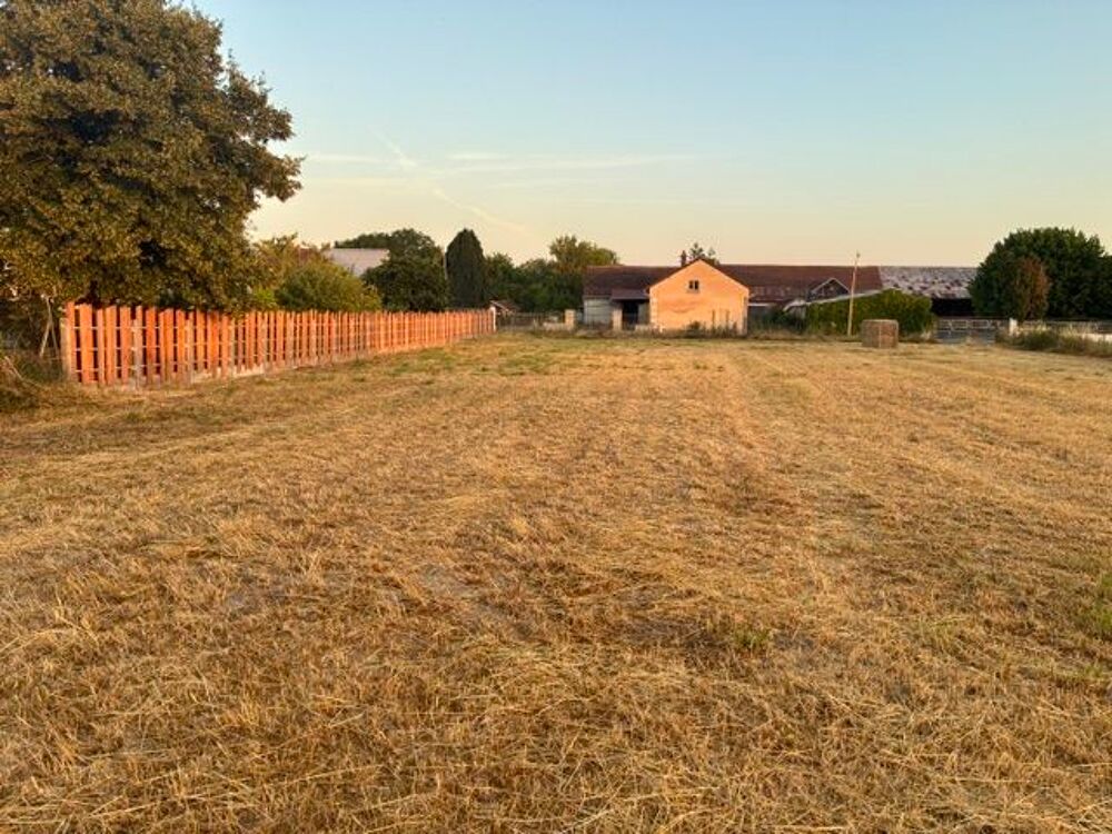 Vente Terrain Terrain constructible Marsangis