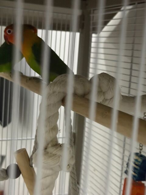 Couple d'ins&eacute;parable 190 95660 Champagne-sur-oise