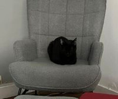   Petsitter garde d'animaux 