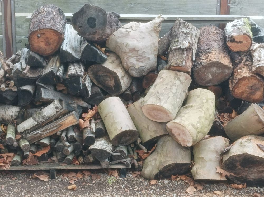 Bois de chauffage a finir Jardin