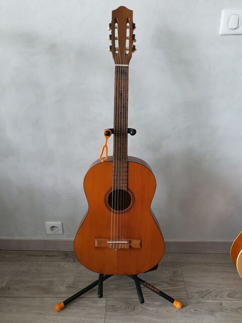 Guitare 35 Voiron (38)