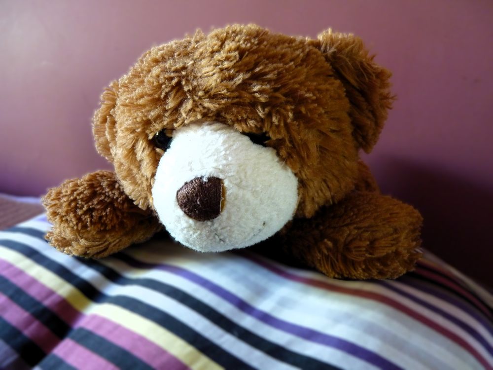 Ours en peluche doudou enfant decoration chambre jouet anima Puériculture