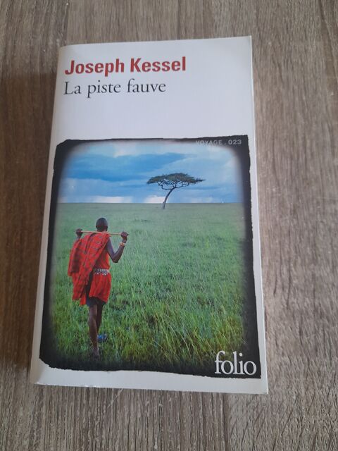 La piste fauve 5 Tours (37)