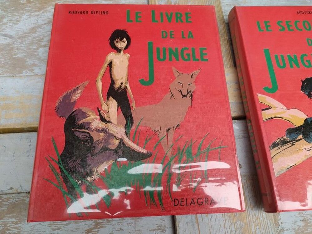 Rudyard Kipling LE LIVRE DE LA JUNGLE ill. Delagrave Livres et BD