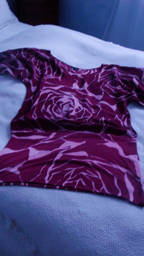 Robe en soie bordeaux et beige Marque THEORY 20 Nimes (30)