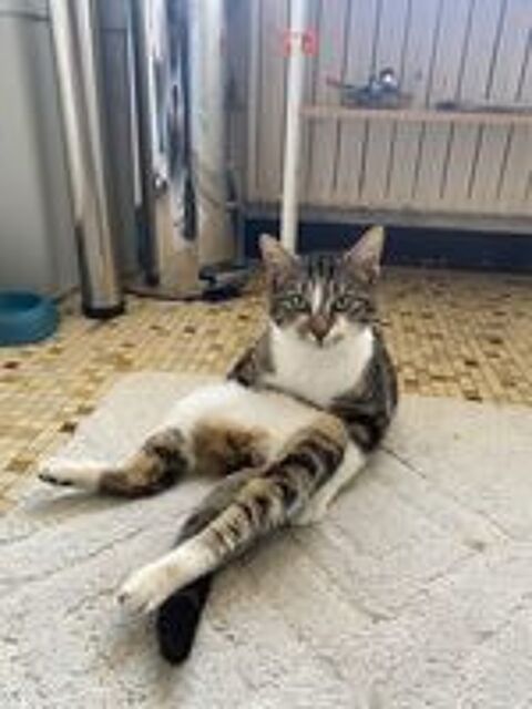   Bernard  
