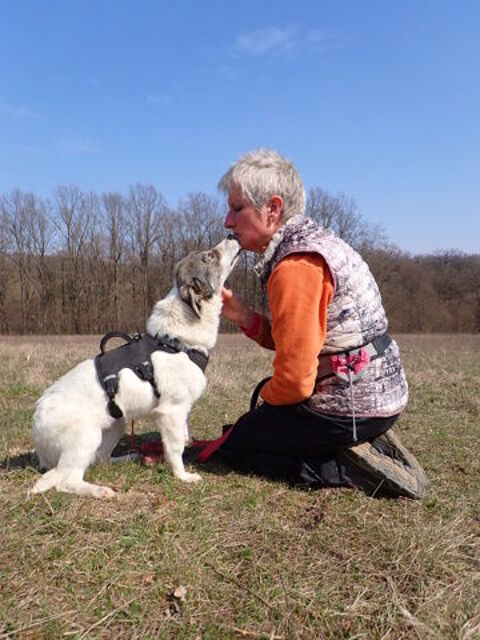 Lesly &agrave; l'adoption 320 67000 Strasbourg