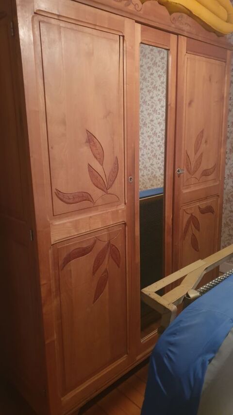Armoire 2 portes ? 50 Montgaillard (09)