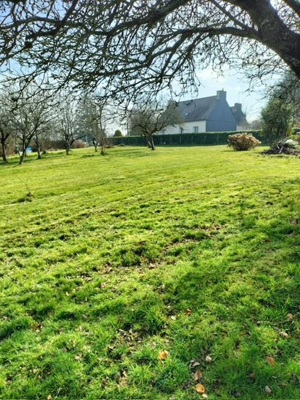 Vente Terrain terrain constructible 57000euros Ploërmel
