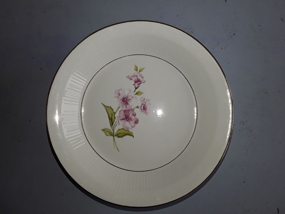 Un lot assiettes orchies moulin des loups modele chevreuse Cuisine