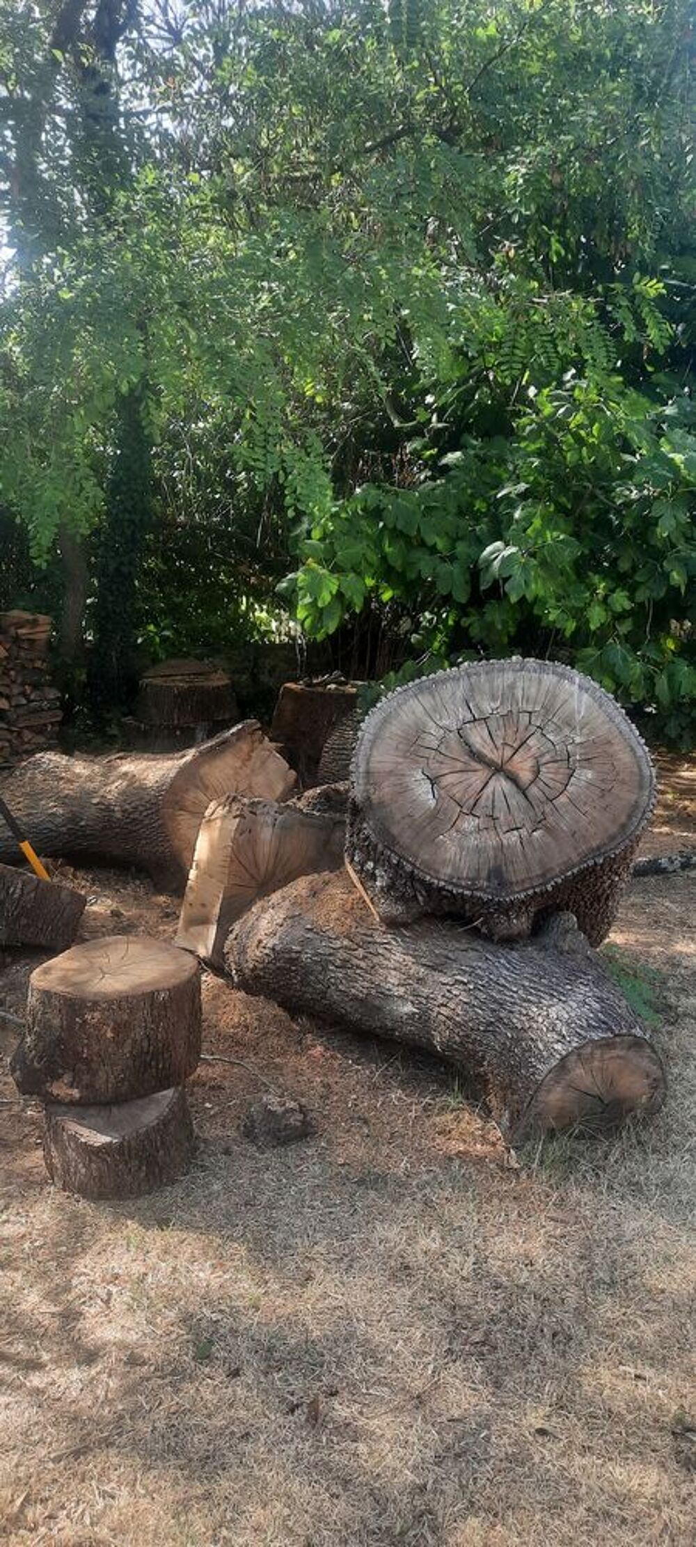 Bois de chauffage secteur Anduze Jardin